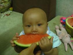 小瓜长大了怎么吃视频,探索美味多变的食用方法