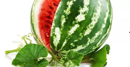 大瓜可以剪叶子吃吗视频,揭秘视频中的叶子食用奥秘