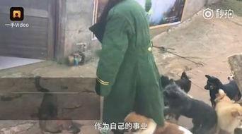 南昌最近吃瓜事件真相视频,揭秘真相背后的真相视频